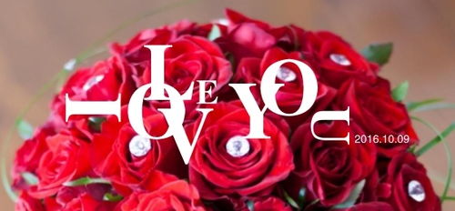 中英字體與圖形圖案的融合 現代廣告Banner的圖文設計藝術