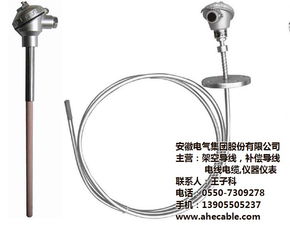 安徽PT100鉑熱電阻產品賞析 安徽電氣集團的高清大圖與技術解讀